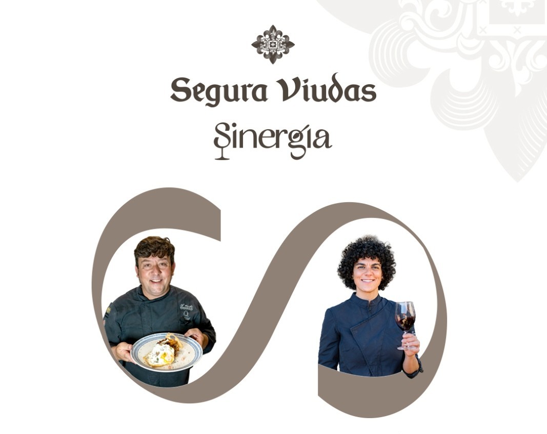 Sinergia 2 WEB 1067x881 Fix